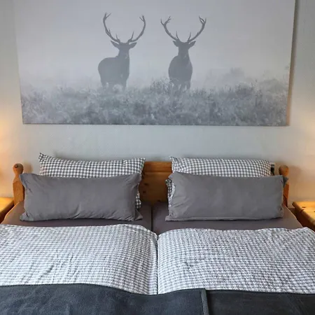 Dasseler Gaestehaus Inn Dassel