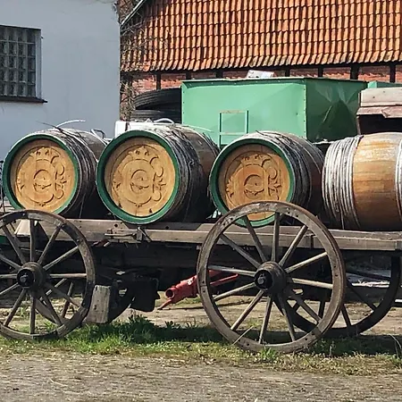 Dasseler Gaestehaus بيت ريفي 3*